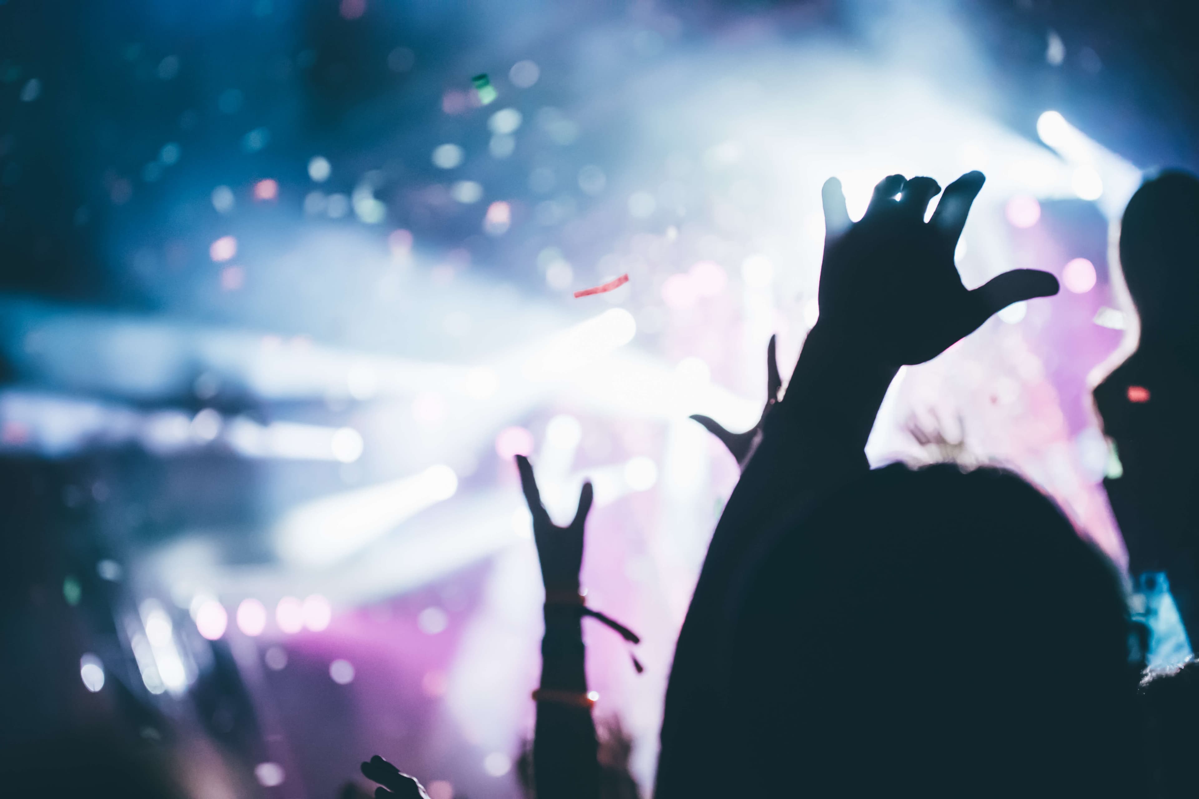 Concert crowd